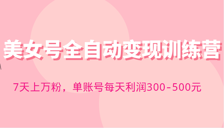 快手美女号全自动变现训练营，7天上万粉，单账号每天利润300-500元-颜夕资源网-第18张图片