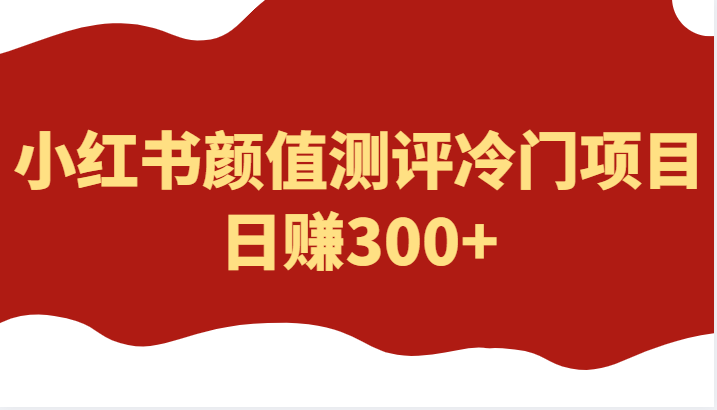 外面4980的项目，小红书颜值测评冷门项目，日赚300+-颜夕资源网-第18张图片