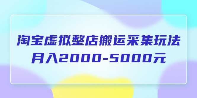 淘宝虚拟整店搬运采集玩法分享课：月入2000-5000元-颜夕资源网-第18张图片