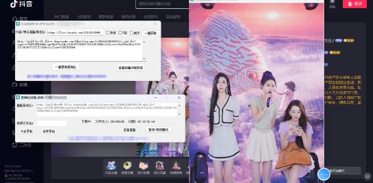 新电脑版抖音/快手/B站直播源获取+直播间实时录制+直播转播【软件+教程】-颜夕资源网-第18张图片