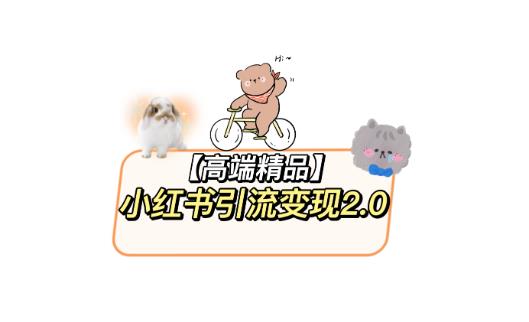 小红书最新引流变现2.0教程，全网最新最详细的视频教程+素材-颜夕资源网-第18张图片