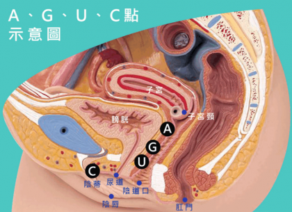 妹子的“G、A、C、U”点都在哪里？有什么作用？-颜夕资源网-第20张图片